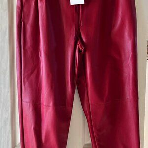 Zara Pleather Jogger Pant L)